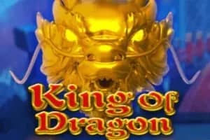 King Of Dragon slot preview