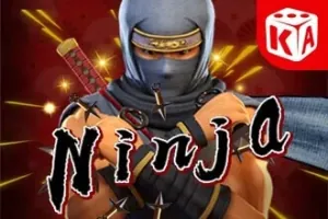 Ninja slot preview