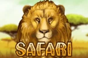 Safari Slots slot preview