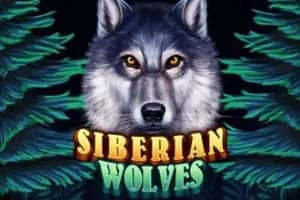 Siberian Wolves slot preview