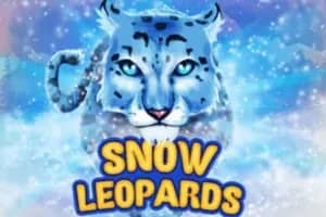 Snow Leopards slot preview