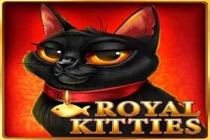 Royal Kitties slot preview