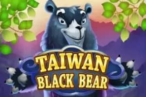 Taiwan Black Bear slot preview