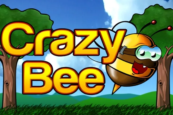 Crazy Bee slot preview