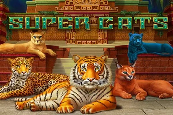 Super Cats slot preview