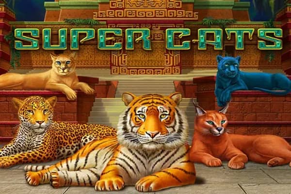 Super Cats slot preview