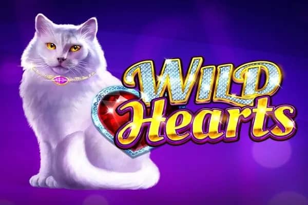 Wild Hearts slot preview