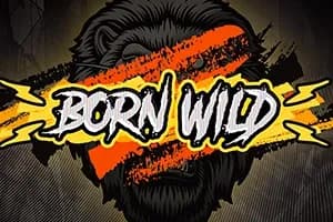 Born Wild slot preview