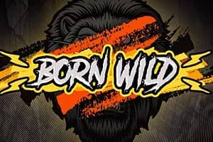 Born Wild slot preview