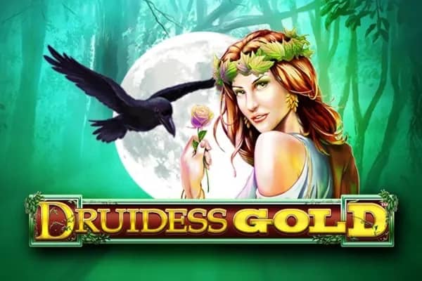 Druidess Gold slot preview