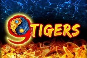 9 Tigers slot preview