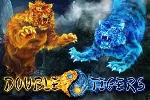 Double Tigers slot preview
