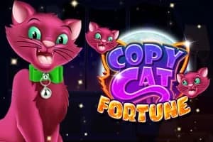 Copy Cat Fortune slot preview