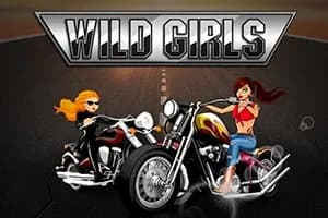 Wild Girls slot preview