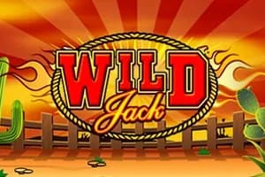 Wild Jack slot preview