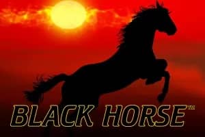 Black Horse slot preview