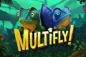 MultiFly! slot preview