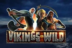 Vikings Go Wild slot preview