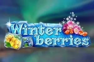 Winterberries slot preview
