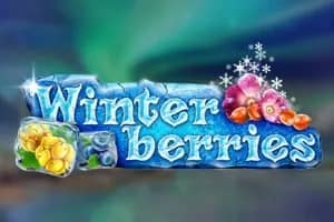 Winterberries slot preview