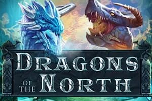 Dragons of the North slot preview