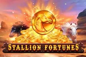 Stallion Fortunes slot preview