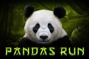 Pandas Run slot preview