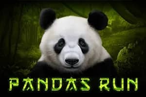 Pandas Run slot preview