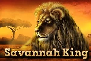 Savannah King slot preview