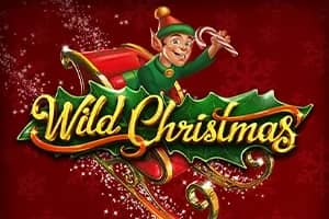 Wild Christmas slot preview