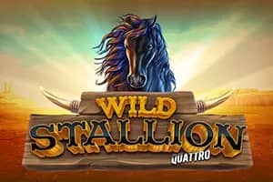 Wild Stallion Quattro slot preview