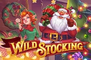 Wild Stocking slot preview