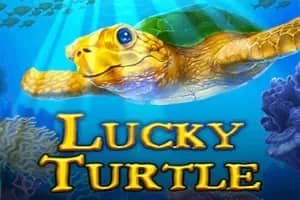 Lucky Turtle slot preview