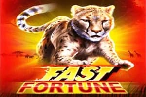 Fast Fortune slot preview