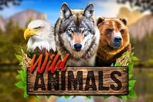 Wild Animals slot preview