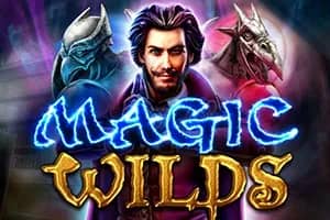 Magic Wilds slot preview