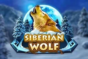 Siberian Wolf slot preview