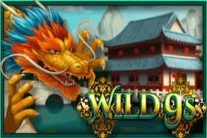 Wild 9s slot preview