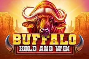 Buffalo Hold and Win slot preview