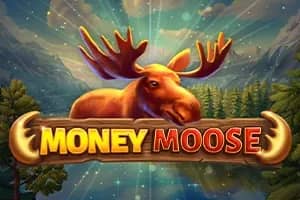 Money Moose slot preview
