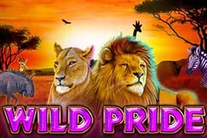 Wild Pride slot preview