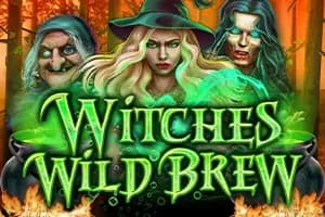 Witches' Wild Brew slot preview