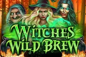 Witches' Wild Brew slot preview