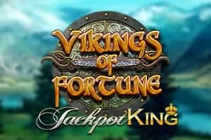 Vikings of Fortune slot preview