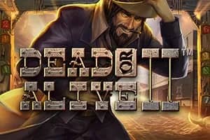 Dead or Alive 2 slot preview