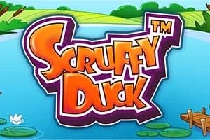 Scruffy Duck slot preview