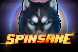 Spinsane slot preview
