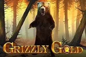 Grizzly Gold slot preview