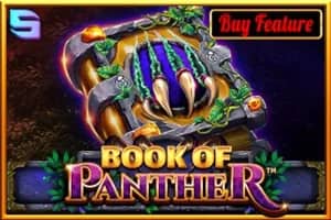 Book of Panther slot preview