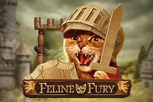Feline Fury slot preview